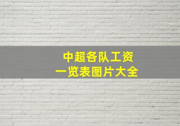 中超各队工资一览表图片大全