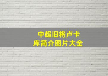 中超旧将卢卡库简介图片大全