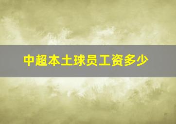 中超本土球员工资多少