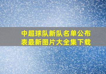 中超球队新队名单公布表最新图片大全集下载