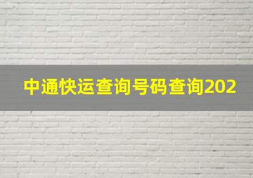 中通快运查询号码查询202