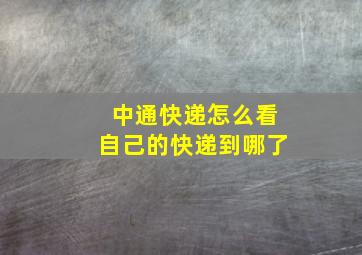 中通快递怎么看自己的快递到哪了