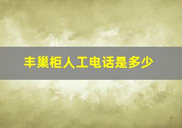 丰巢柜人工电话是多少