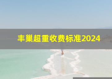 丰巢超重收费标准2024