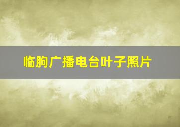 临朐广播电台叶子照片