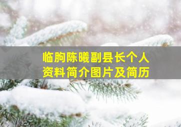 临朐陈曦副县长个人资料简介图片及简历