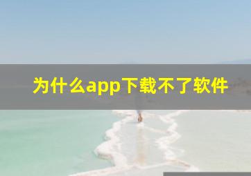 为什么app下载不了软件