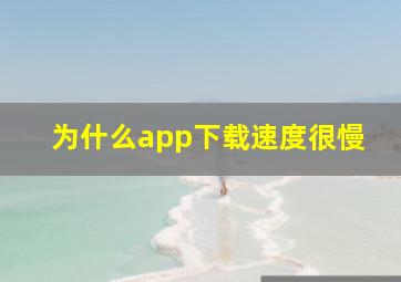 为什么app下载速度很慢