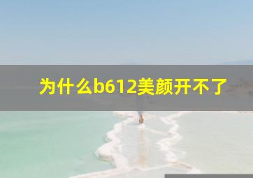 为什么b612美颜开不了