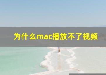 为什么mac播放不了视频