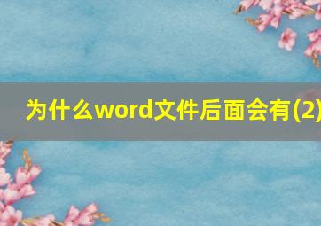 为什么word文件后面会有(2)