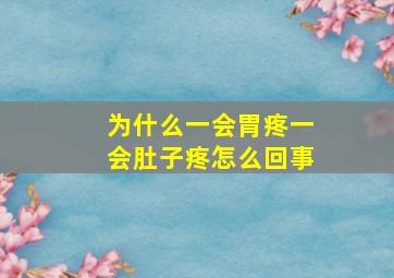 为什么一会胃疼一会肚子疼怎么回事