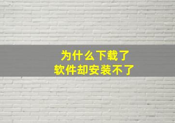 为什么下载了软件却安装不了