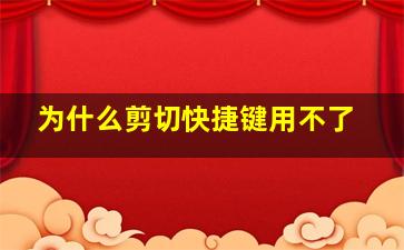 为什么剪切快捷键用不了