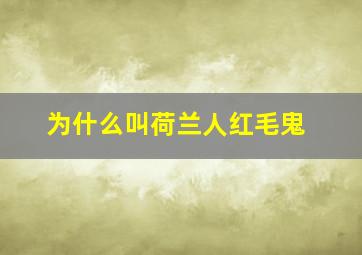 为什么叫荷兰人红毛鬼