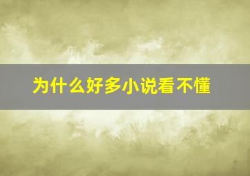 为什么好多小说看不懂