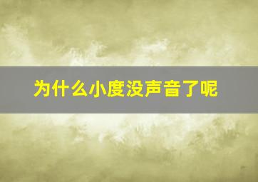 为什么小度没声音了呢