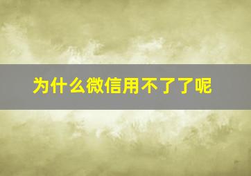 为什么微信用不了了呢