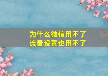 为什么微信用不了流量设置也用不了