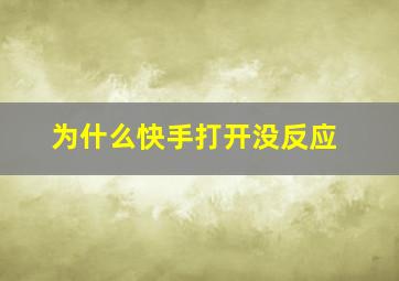 为什么快手打开没反应