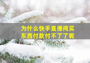 为什么快手直播间买东西付款付不了了呢