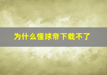 为什么懂球帝下载不了