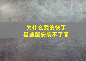 为什么我的快手极速版安装不了呢