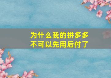 为什么我的拼多多不可以先用后付了