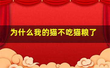 为什么我的猫不吃猫粮了