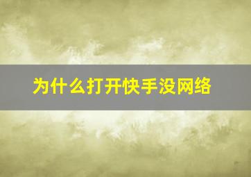 为什么打开快手没网络