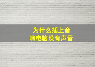 为什么插上音响电脑没有声音