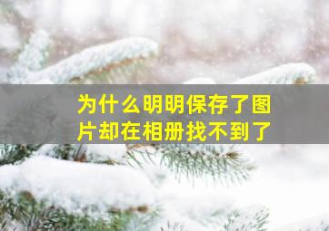 为什么明明保存了图片却在相册找不到了