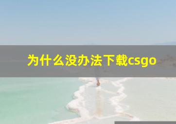 为什么没办法下载csgo