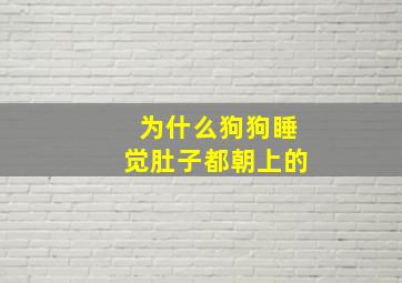 为什么狗狗睡觉肚子都朝上的