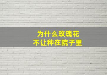 为什么玫瑰花不让种在院子里