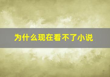 为什么现在看不了小说