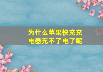 为什么苹果快充充电器充不了电了呢