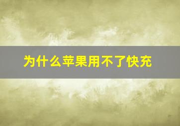 为什么苹果用不了快充