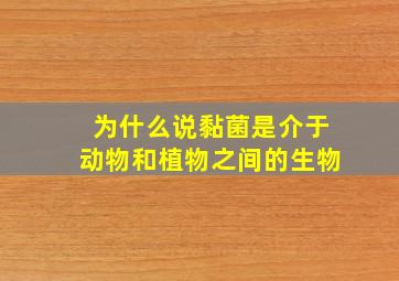 为什么说黏菌是介于动物和植物之间的生物