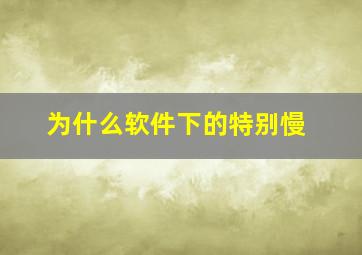 为什么软件下的特别慢