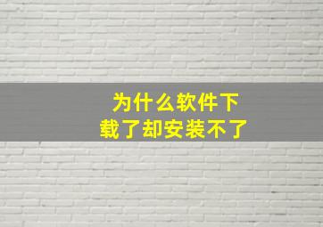 为什么软件下载了却安装不了