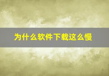 为什么软件下载这么慢