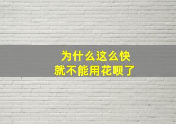 为什么这么快就不能用花呗了