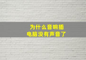 为什么音响插电脑没有声音了