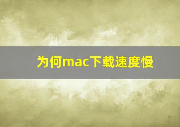 为何mac下载速度慢