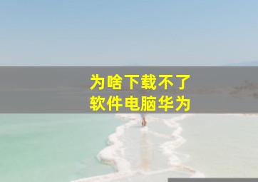 为啥下载不了软件电脑华为