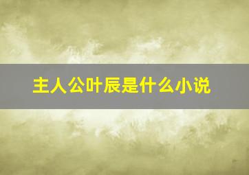 主人公叶辰是什么小说