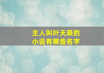 主人叫叶天辰的小说有哪些名字