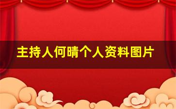 主持人何晴个人资料图片