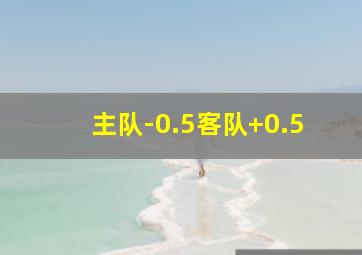 主队-0.5客队+0.5